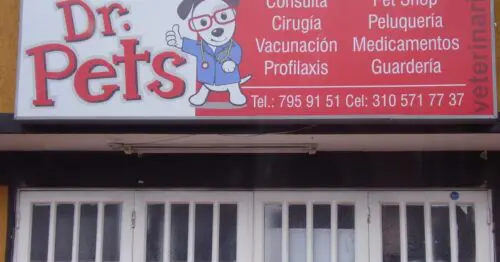 DR PETS VETERINARIA DR PETS VETERINARIA